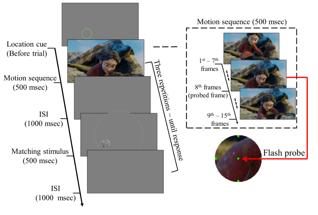 Experimental Workflow Diagram